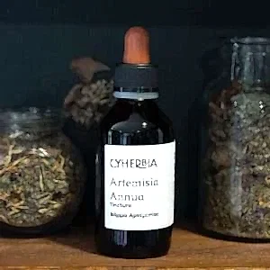 Artemisia Annua Tincture