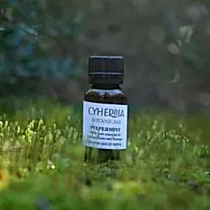 Peppermint essential oil