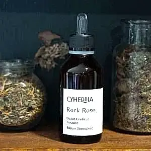 Rock Rose tincture