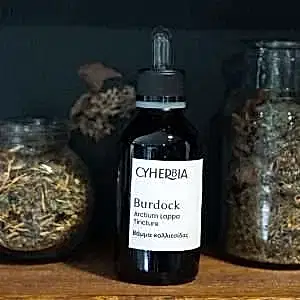 Burdock Tincture