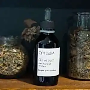 Olive Leaf tincture