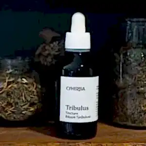 Tribulus tincture