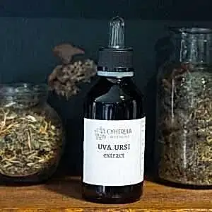 Uva ursi tincture