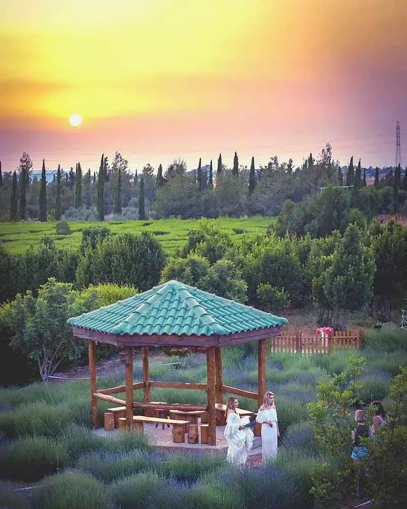 Beautiful Gardens in Cyprus at Cyherbia