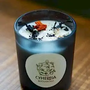 Hocus Pocus Candle