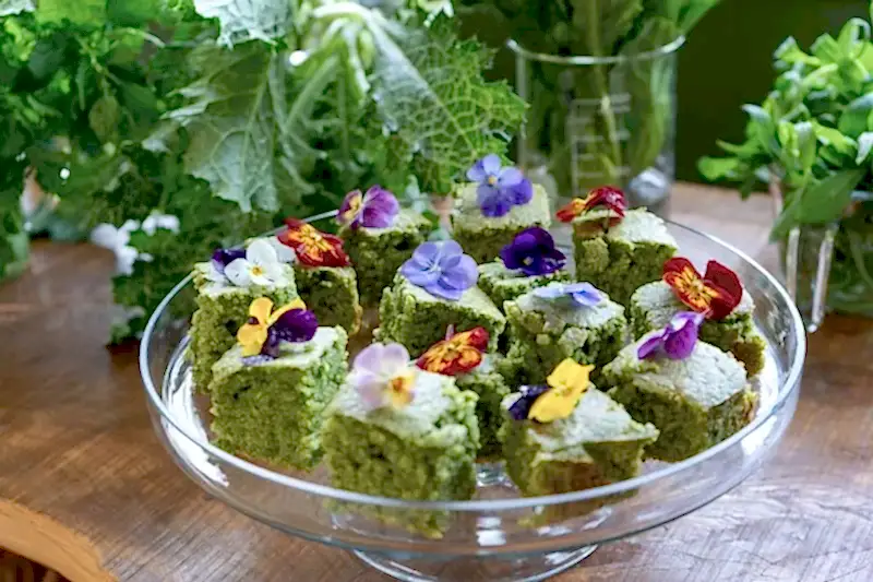 wild greens-12