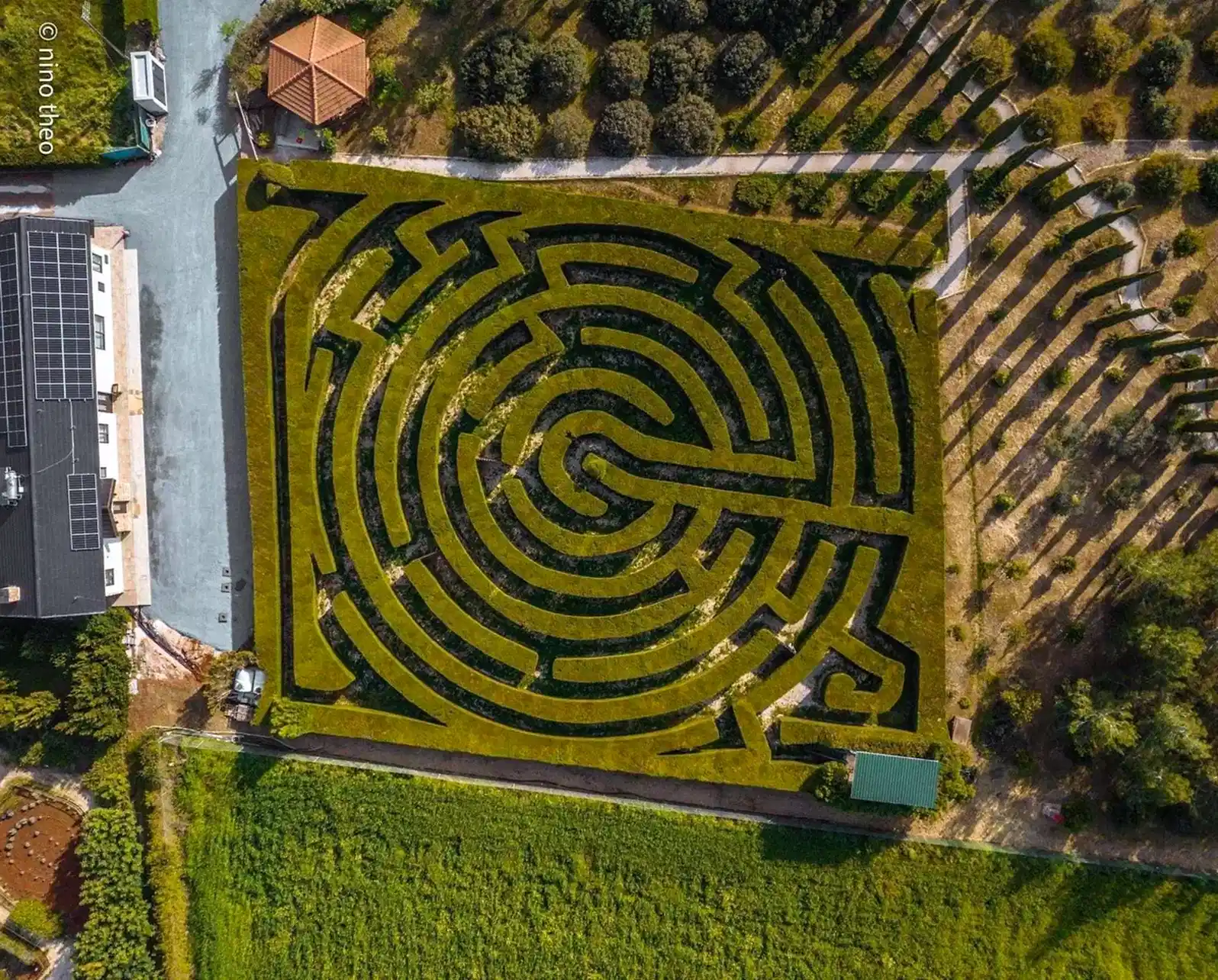 maze aerial